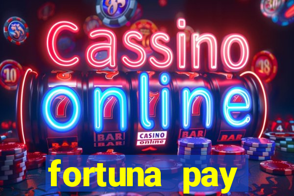 fortuna pay consultoria financeira ltda